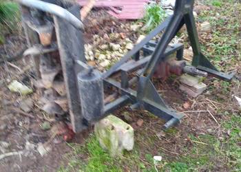 glebogryarka podkoronowa