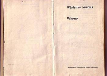 (6033) WRZOSY – WŁADYSŁAW MISIOŁEK