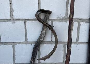 Ząb unia Grudziądz