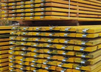 Burta deska 3,00 PLETAC producent