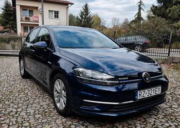 Volkswagen Golf VII 2018/2019 1,5 TSI BMT ACT Volkswagen Golf VII 2018/2019 1,5 TSI BMT ACT