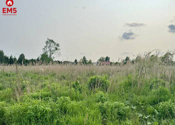 Działka 2855m2 Dąbrówno