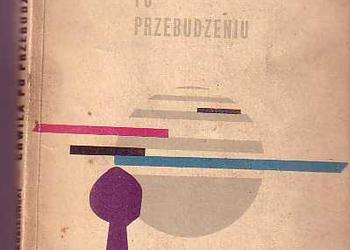 (3388) CHWILA PO PRZEBUDZENIU – ZBIGNIEW KUBIKOWSKI