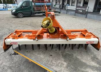 Brona wirowa maschio 2.5m
