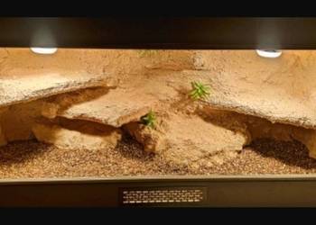 Okazja terrarium dla żółwia greckiego agamy brodatej