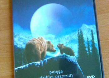 NIEDŹWIADEK Jean-Jacques Annaud DVD NIEDŹWIADEK Jean-Jacques Annaud DVD