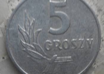 POLSKA-5 GROSZY-1971 r-AL-