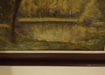 Jezioro wśród drzew