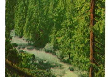 TATRY POTOK CHOCHOŁOWSKI