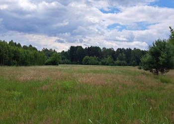 Sprzedam piękną działkę 6000 m2 Cisza i spokój, dojazd z Warszawy trasą S7