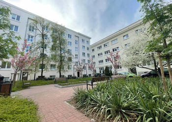 Kawalerka w kamienicy w Śródmieściu, bez prowizji, ROI 8–10%