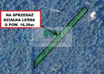 DO SPRZEDAŻY DZIAŁKA LEŚNA W JELNEJ