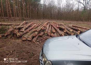 Sprzedam drewno na palety