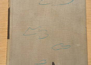 ,,Żądło Genowefy" i ,,L jak Lucy"- 2 tytuły w jednej książce ,,Żądło Genowefy" i ,,L jak Lucy"- 2 tytuły w jednej książce