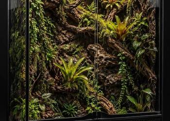 Terrarium dla boa cesarskiego pytona regiusa