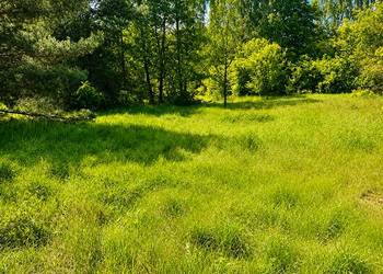 ? Działka budowlana 1233 m² | 10 min od Sokołowa | 95 000 zł