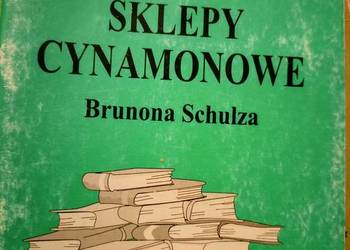Sklepy cynamonowe analizy literatury księgarnia Praga Bródno