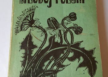 PODRĘCZNIK "Literatura Młodej Polski", Tomasz Weiss, kl. III