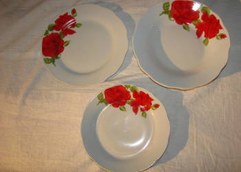 Róże - porcelanowy talerz obiadowy