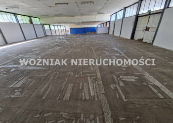 Lokal Wałbrzych 540m2