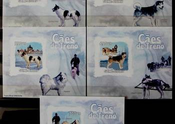 Gwinea Bissau (psy) 6