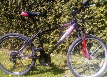 Rower 26c Teamraider górski sprzedam