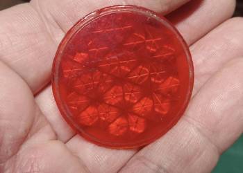 SHL M04 Szkło Lampki Nochal U48 Sokół