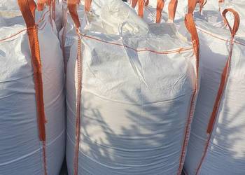 Ziarno kukurydzy mielone, kiszone.