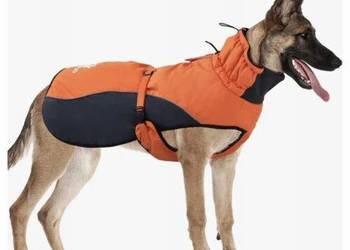 Kurteczka Ireenuo pomarańczowy Rozmiar S używany