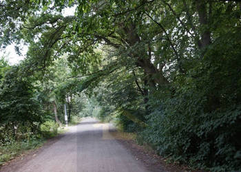 Działka gruntowa w Otwocku Wielkim ul. Zamkowa