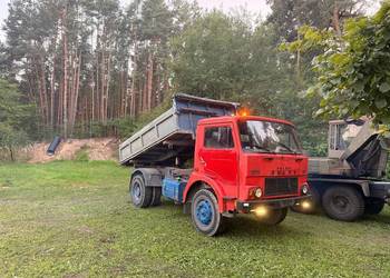 Jelcz W317