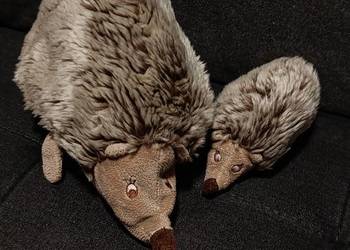 rodzina jeży pluszowa zabawka maskotka pluszak