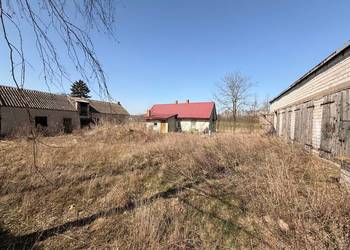 Dom z 3 budynkami gospodarczymi na działce 3344 m2 w Dzióbinie gm. Klodawa