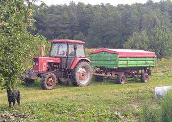 MTZ 82 rok 1982 po remoncie w 2018 roku 750 Mth