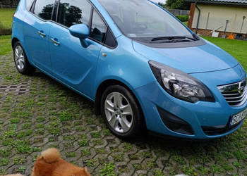 Opel Meriva Telefon: 508_174_345 Lokalizacja: Drogomyśl II (2010-) Opel Meriva Telefon: 508_174_345 Lokalizacja: Drogomyśl II (2010-)