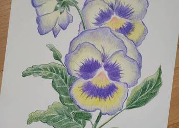 Obraz na zamówienie pastele olejne kredki akwarela rysunek szkolny konkurs