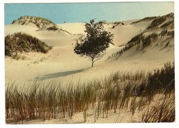 SŁOWIŃSKI PARK NARODOWY WYDMY