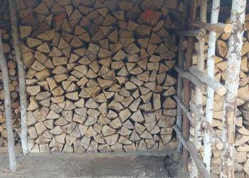 Drewno kominkowe opałowe brzoza dąb osika sosna