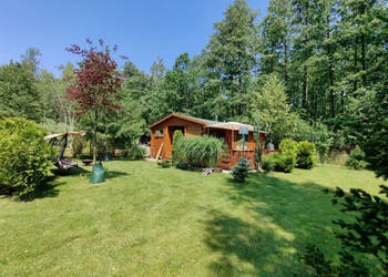 Działka ROD Biała Brzoza