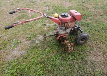 Glebogryzarka Texas 5 hp