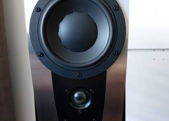 Kolumny Dynaudio Contour 1.4 LE z podstawkami