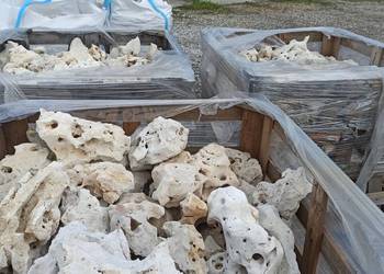 Wapień do akwarium z dziurami Tanganika  Iwagumi Wapień Filipiński skała