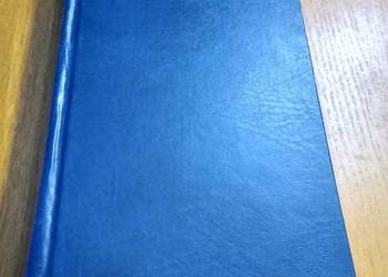 Filozofowie i maszyny (1400-1700) / Paolo Rossi tł Kreisberg, Alina BDB-