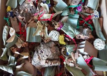 żerowisko dla papug