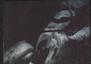 Wieliczka siedem wieków polskiej soli