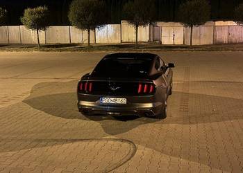 Ford mustang 3.7 305km