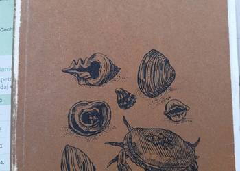 Durrell książki Nasza rodzina i inne zwierzęta księgarnia