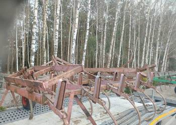 Gerbery ścierniskowe drapali . kultywatory