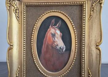 Piękny portret zadumanego konia