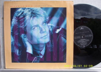 LP rock; matthias reim--ich hab getrumt. polydor.